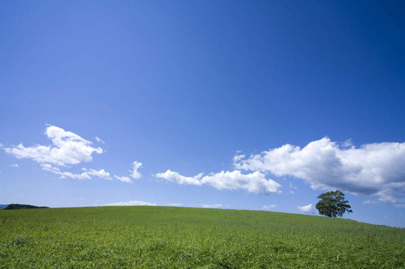 无人,横图,室外,白天,正面,旅游,度假,草地,草坪,美景,植物,北海道,日本,亚洲,地平线,景观,云,云朵,辽阔,地面,云彩,娱乐,草,树,树木,蓝色,绿色,白云,蓝天,天空,自然,天,享受,休闲,广阔,景色,放松,生长,晴朗,成长,一望无际,自然风光,延伸,东亚,日本国,天地相交,北海道地方,北海道岛,无边无际,一马平川,晴空,彩图