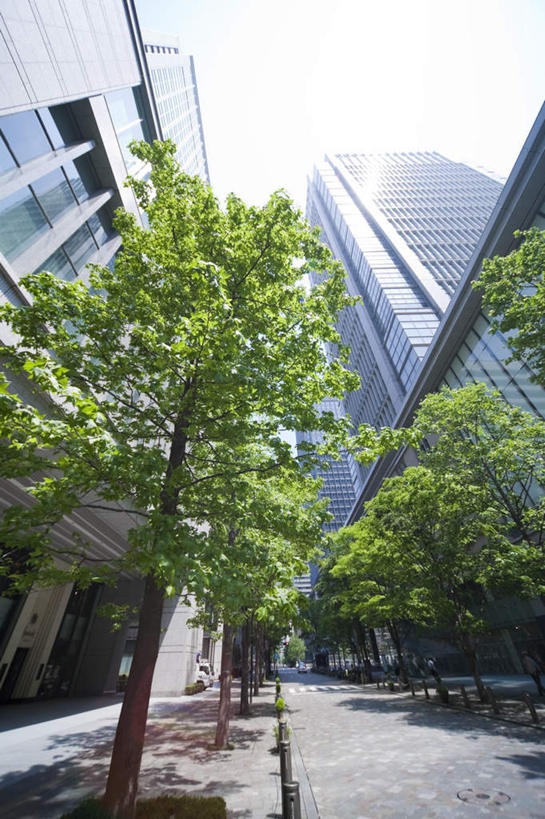 无人,高楼大厦,竖图,室外,白天,仰视,度假,办公楼,美景,植物,城市风光,标志建筑,城市,大厦,道路,地标,建筑,路,摩天大楼,写字楼,公路,东京,日本,亚洲,阴影,光线,影子,景观,云,云朵,交通,云彩,娱乐,建设,树,树木,蓝色,绿色,白云,蓝天,天空,阳光,自然,楼宇,天,享受,休闲,商务楼,景色,放松,生长,晴朗,成长,东亚,本州,关东地方,本州岛,日本国,东京都,晴空,马路,彩图,低角度拍摄,大楼,高层建筑,高楼,摩天楼