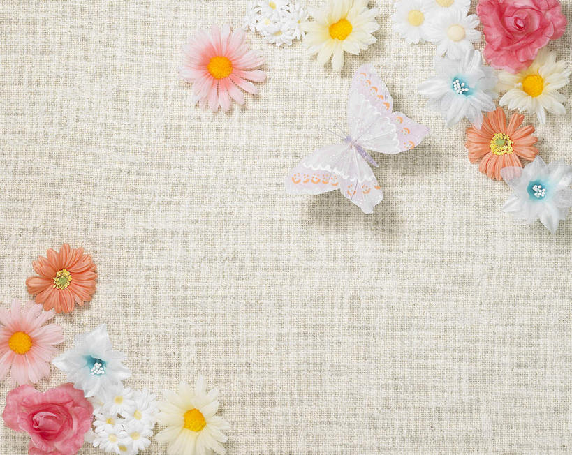 无人,横图,俯视,室内,特写,白天,植物,桌面,桌子,静物,许多,盛开,木制,非洲菊,花,花瓣,花朵,花卉,鲜花,粉色,白色,木制品,花蕊,橙色,菊花,摄影,影棚,扶郎花,灯盏花,千日菊,彩图,高角度拍摄,影棚拍摄,拍摄