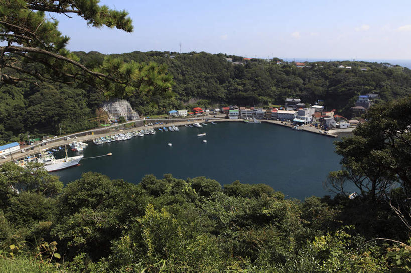 无人,家,横图,俯视,航拍,室外,白天,旅游,度假,湖,湖泊,美景,树林,水,植物,别墅,城市风光,城市,建筑,船,东京,日本,亚洲,平静,房屋,屋子,湖面,景观,水流,水面,公寓,建筑群,游艇,娱乐,建设,洋房,楼房,住宅,树,树木,蓝色,绿色,蓝天,天空,自然,交通工具,湖水,天,享受,休闲,景色,放松,生长,晴朗,成长,鸟瞰,载具,东亚,本州,万里无云,关东地方,本州岛,日本国,东京都,晴空,晴空万里,彩图,高角度拍摄,房子