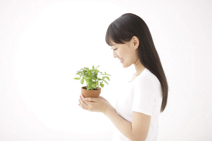 东方人,一个人,捧,笑,微笑,露齿笑,横图,室内,白天,侧面,植物,亚洲,仅一个年轻女性,仅一个女性,仅一个人,服装,装饰,盆栽,盆景,注视,休闲装,黄种人,衣服,绿色,黑色,自然,低头,观察,看,休闲,休闲服,服饰,生长,成长,观看,华丽,修饰,点缀,一盆,察看,关注,衬托,美观,雅致,雅观,年轻女性,女人,女性,亚洲人,长发,端,端着,捧着,手捧,半身,彩图