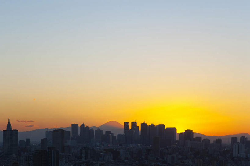 无人,高楼大厦,横图,俯视,室外,白天,度假,美景,日落,植物,城市风光,城市,大厦,道路,建筑,路,摩天大楼,公路,东京,日本,亚洲,阴影,光线,影子,景观,晚霞,霞光,云,云朵,交通,云彩,娱乐,树,树木,蓝色,绿色,白云,蓝天,天空,阳光,自然,黄昏,天,享受,休闲,景色,彩霞,放松,生长,成长,东亚,本州,关东地方,本州岛,日本国,东京都,夕阳,马路,彩图,高角度拍摄,大楼,高层建筑,高楼,摩天楼