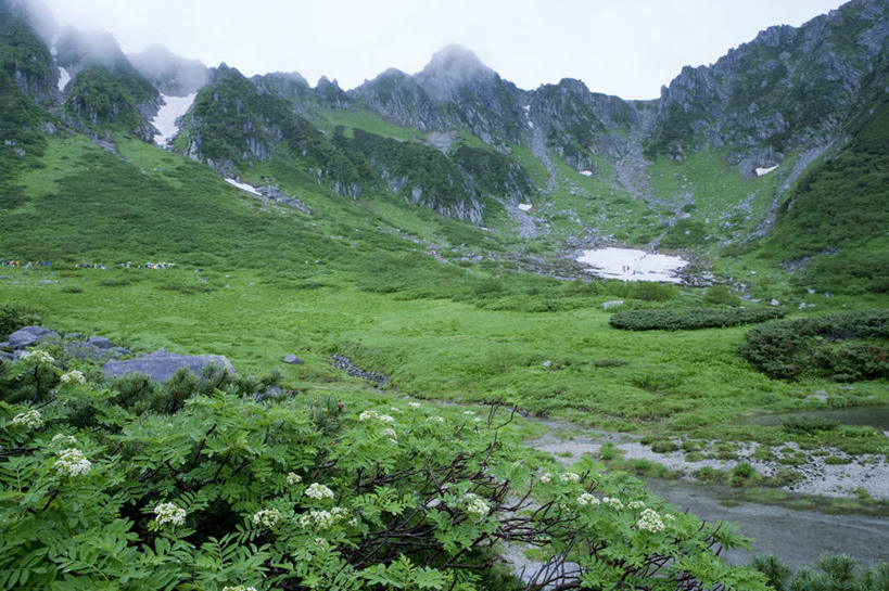无人,横图,俯视,室外,白天,旅游,度假,草地,草坪,美景,山,山脉,植物,雾,长野县,日本,亚洲,阴影,朦胧,模糊,反射,影子,景观,山峰,山峦,娱乐,草,树,树木,绿色,自然,群山,享受,休闲,景色,放松,生长,成长,迷雾,自然风光,东亚,本州,本州岛,日本国,中部地方,长野,大雾,彩图,高角度拍摄