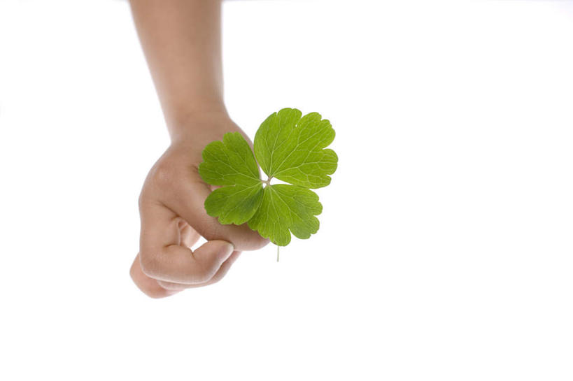 手,摸,横图,俯视,室内,特写,白天,白色背景,植物,叶子,抚摸,握,阴影,光线,纹理,影子,绿叶,三片,拿,拿着,绿色,阳光,手部,嫩叶,握着,摄影,影棚,肌理,叶,叶片,叶脉,触摸,接触,半身,彩图,高角度拍摄,影棚拍摄,拍摄