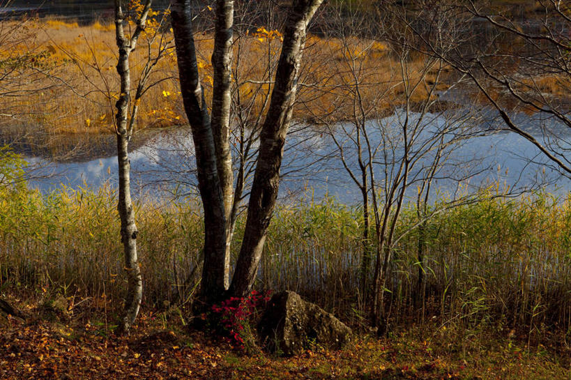 无人,横图,俯视,室外,白天,旅游,度假,草地,草坪,河流,美景,水,植物,日本,亚洲,阴影,波纹,光线,影子,河水,景观,水流,娱乐,草,树,树木,绿色,水纹,阳光,自然,波浪,享受,休闲,景色,放松,生长,成长,自然风光,东亚,本州,本州岛,日本国,东北地方,福岛,福岛县,彩图,高角度拍摄