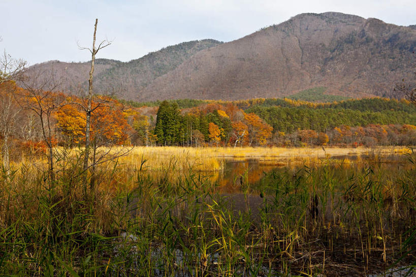 无人,横图,俯视,室外,白天,旅游,度假,草地,草坪,河流,美景,山,山脉,水,植物,日本,亚洲,阴影,光线,影子,河水,景观,山峰,水流,云,云朵,山峦,云彩,娱乐,草,树,树木,蓝色,绿色,白云,蓝天,天空,阳光,自然,群山,天,享受,休闲,景色,放松,生长,成长,自然风光,东亚,本州,本州岛,日本国,东北地方,福岛,福岛县,彩图,高角度拍摄