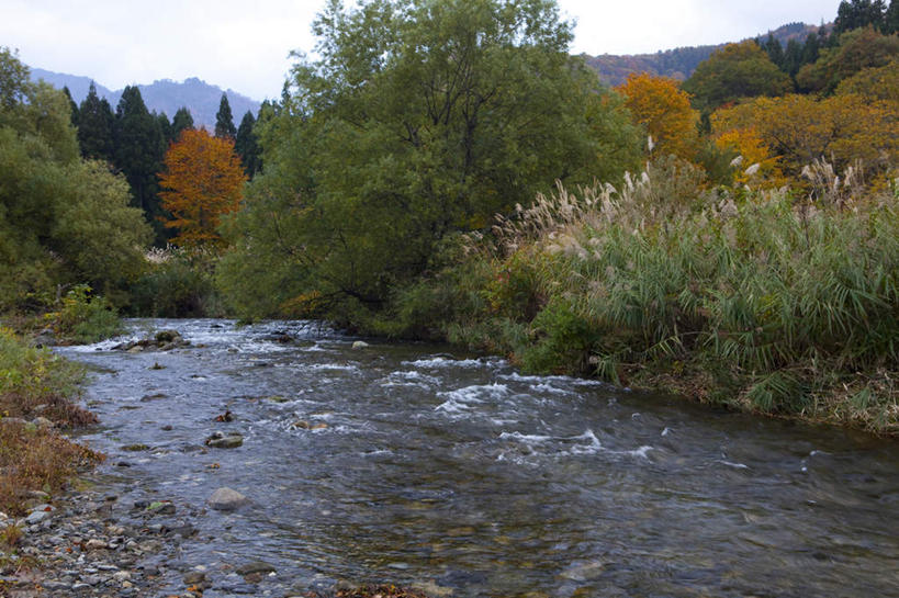 无人,横图,俯视,室外,白天,旅游,度假,草地,草坪,湖,湖泊,美景,水,植物,日本,亚洲,阴影,飞溅,溅,光线,液体,影子,湖面,景观,水滴,水流,水面,云,云朵,云彩,娱乐,水珠,草,树,树木,蓝色,绿色,白云,蓝天,天空,阳光,自然,湖水,天,享受,休闲,景色,放松,生长,成长,喷洒,自然风光,东亚,本州,本州岛,日本国,中部地方,新潟,新潟县,彩图,高角度拍摄
