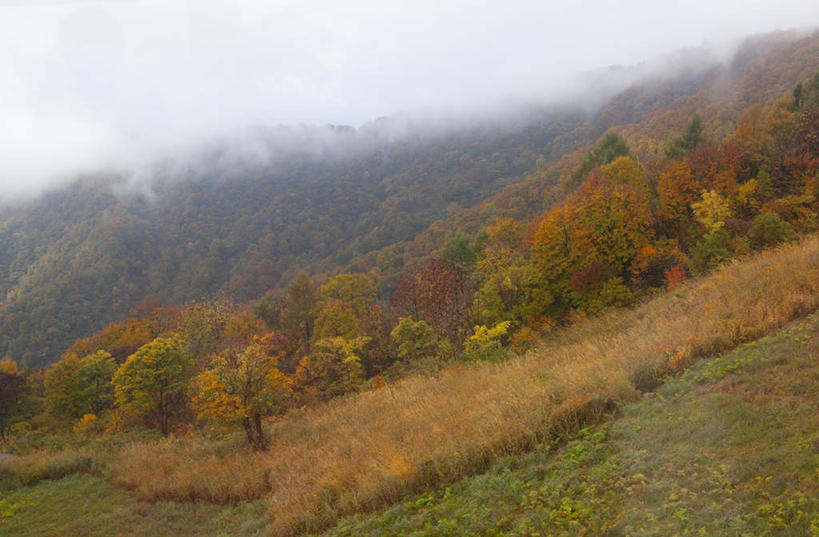 无人,横图,俯视,室外,白天,旅游,度假,草地,草坪,美景,植物,日本,亚洲,阴影,光线,影子,景观,云,云朵,云彩,娱乐,草,树,树木,蓝色,绿色,白云,蓝天,天空,阳光,自然,天,享受,休闲,景色,放松,生长,成长,自然风光,东亚,本州,本州岛,日本国,中部地方,新潟,新潟县,彩图,高角度拍摄