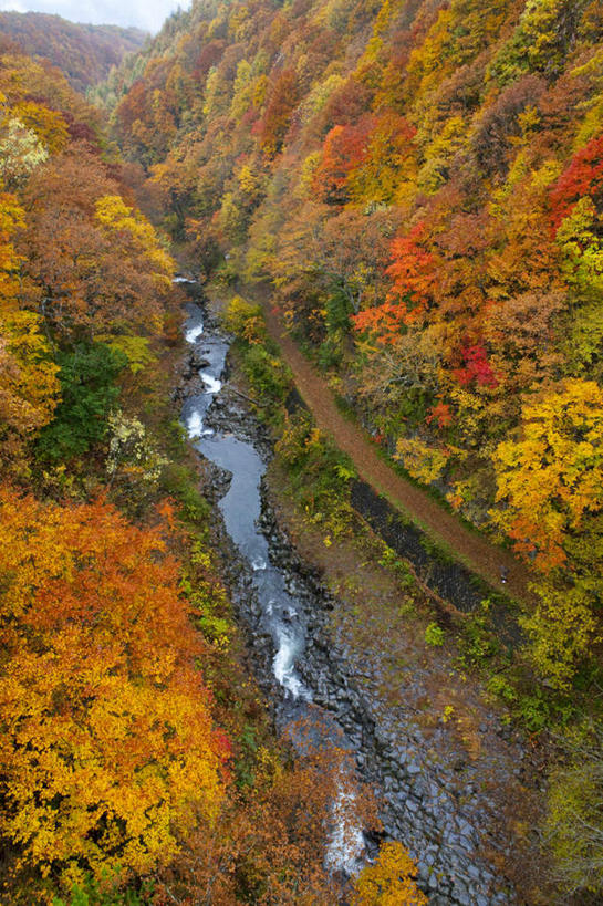 无人,竖图,俯视,室外,白天,旅游,度假,草地,草坪,河流,美景,水,植物,日本,亚洲,阴影,光线,影子,河水,景观,水流,娱乐,草,树,树木,蓝色,绿色,蓝天,天空,小溪,阳光,自然,天,溪水,享受,休闲,景色,放松,流动,生长,成长,自然风光,东亚,本州,本州岛,日本国,中部地方,新潟,新潟县,彩图,高角度拍摄