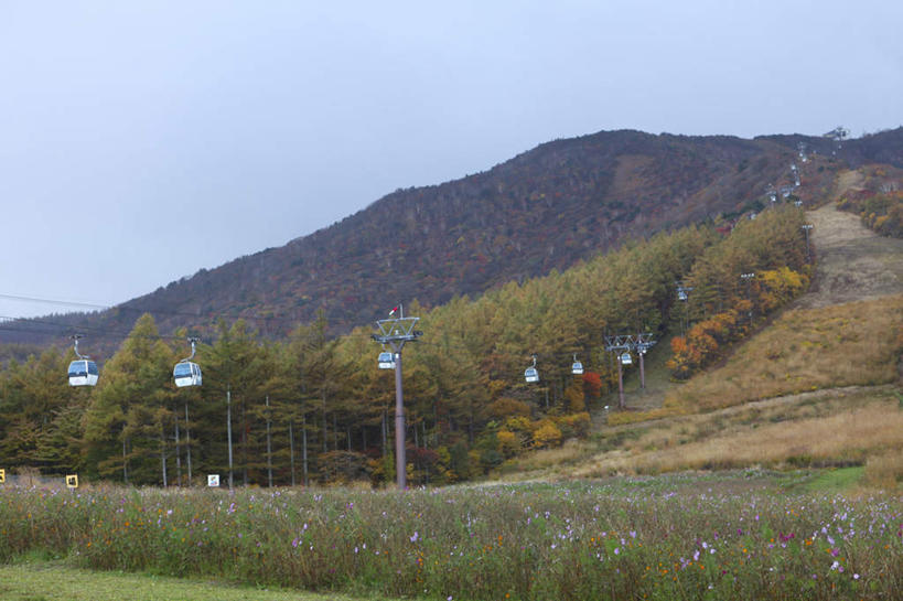 无人,横图,室外,白天,正面,旅游,度假,美景,山,山脉,植物,路灯,照明,日本,亚洲,一排,许多,阴影,整齐,光线,影子,景观,山峰,云,云朵,灯光,山峦,云彩,娱乐,灯,树,树木,排列,蓝色,绿色,白云,蓝天,天空,阳光,自然,群山,天,享受,休闲,景色,放松,生长,成长,照亮,照明设备,队列,自然风光,东亚,本州,本州岛,日本国,东北地方,福岛,福岛县,彩图