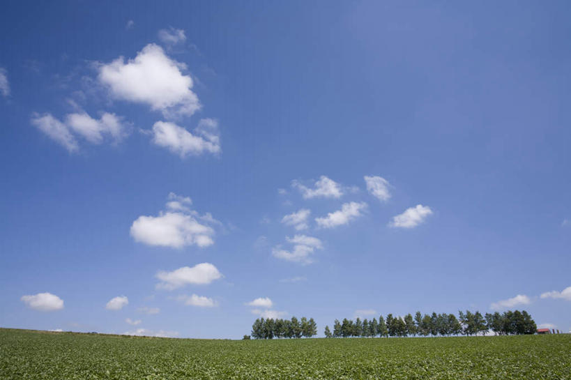 无人,横图,室外,白天,仰视,旅游,度假,草地,草坪,美景,植物,北海道,日本,亚洲,阴影,光线,影子,景观,云,云朵,云彩,娱乐,草,树,树木,蓝色,绿色,白云,蓝天,天空,阳光,自然,天,享受,休闲,景色,放松,生长,成长,自然风光,东亚,日本国,北海道地方,北海道岛,彩图,低角度拍摄