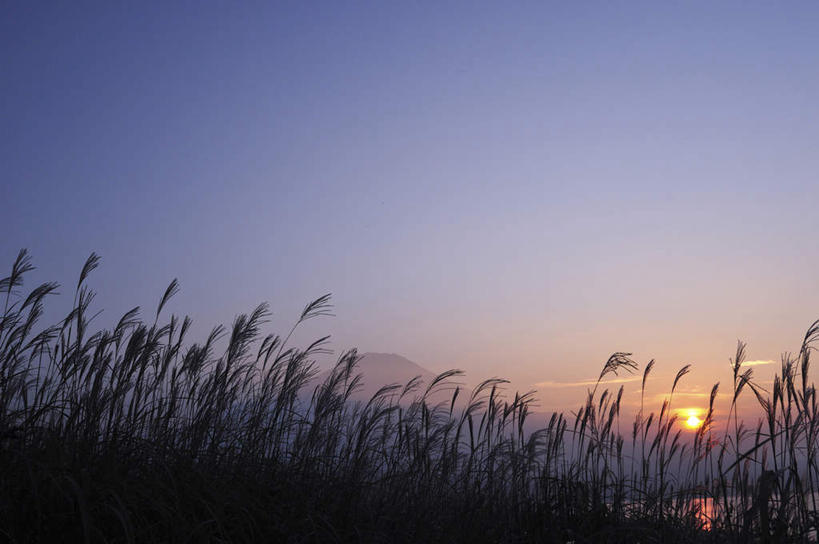无人,农田,横图,室外,白天,仰视,旅游,度假,庄稼,农作物,小麦,日出,美景,太阳,日本,亚洲,景观,云,云朵,谷物,朝霞,晨曦,黎明,云彩,娱乐,蓝色,白云,蓝天,天空,阳光,自然,天,享受,休闲,稻谷,稻子,景色,放松,麦子,自然风光,东亚,本州,本州岛,日本国,中部地方,山梨,山梨县,朝阳,彩图,低角度拍摄,耕地,庄稼田,破晓