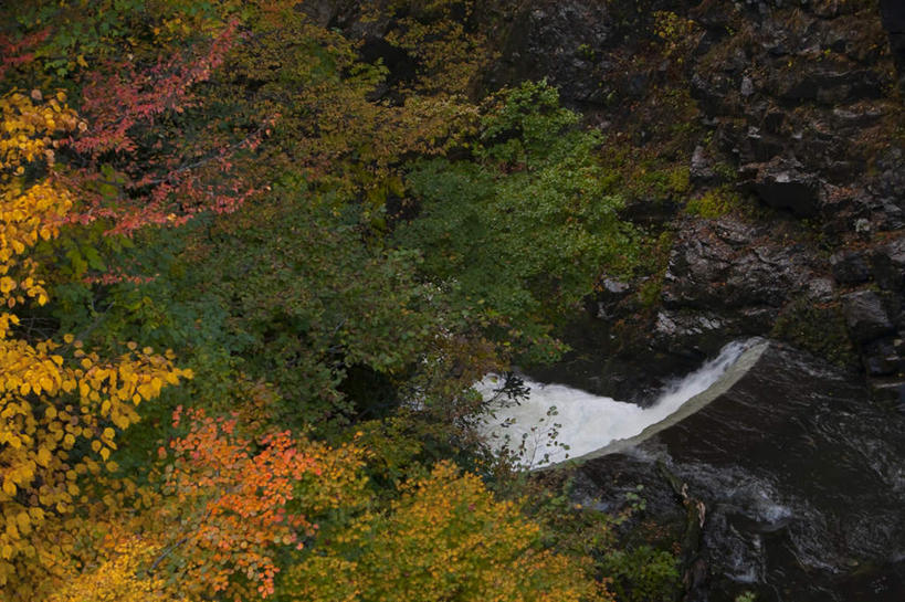 无人,横图,俯视,室外,白天,旅游,度假,草地,草坪,河流,石头,美景,水,植物,日本,亚洲,飞溅,溅,石子,液体,河水,景观,水滴,水流,娱乐,水珠,草,树,树木,绿色,小溪,自然,溪水,享受,休闲,景色,放松,生长,成长,喷洒,自然风光,东亚,本州,本州岛,日本国,中部地方,新潟,新潟县,石块,岩石,彩图,高角度拍摄