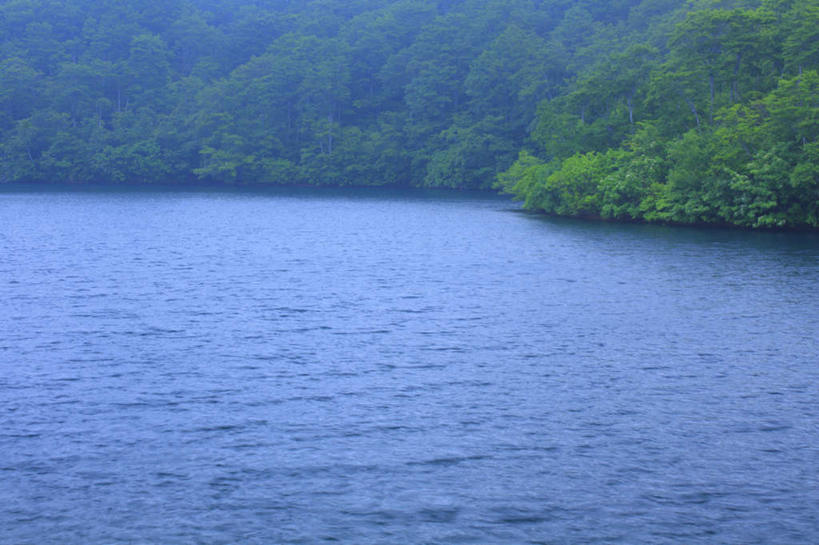 无人,横图,俯视,室外,白天,旅游,度假,草地,草坪,海浪,海洋,美景,山,山脉,植物,长野县,日本,亚洲,阴影,波纹,光线,影子,景观,浪花,山峰,山峦,娱乐,草,树,树木,绿色,水纹,阳光,自然,海水,波浪,群山,享受,休闲,景色,放松,生长,成长,自然风光,海景,东亚,本州,本州岛,日本国,中部地方,长野,大海,风浪,海,海水的波动,近岸浪,涌浪,彩图,高角度拍摄