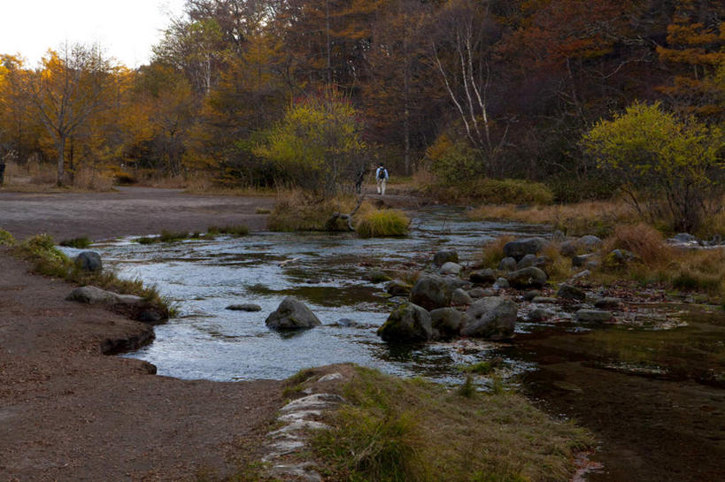 无人,横图,俯视,室外,白天,旅游,度假,草地,草坪,河流,礁石,石头,美景,水,植物,日本,亚洲,阴影,波纹,光线,石子,影子,河水,景观,水流,娱乐,草,树,树木,绿色,水纹,阳光,自然,波浪,享受,休闲,景色,放松,生长,成长,自然风光,东亚,本州,关东地方,本州岛,日本国,栃木,栃木县,礁,石块,岩石,彩图,高角度拍摄