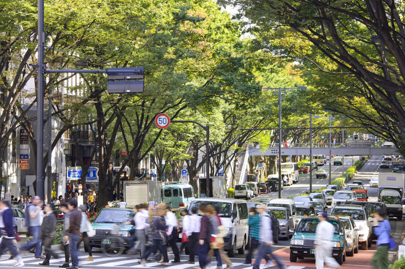 东方人,站,走,横图,室外,白天,侧面,旅游,度假,美景,植物,道路,路,路灯,人行横道,指示牌,汽车,照明,亚洲,一排,阴影,整齐,光线,标志,文字,影子,景观,人行道,小路,灯光,交通,许多人,黄种人,娱乐,标识,车,灯,树,树木,排列,蓝色,绿色,蓝天,天空,阳光,自然,交通工具,轿车,天,站着,一群人,享受,休闲,景色,放松,乡间小路,生长,成长,照亮,照明设备,队列,自然风光,载具,人行横道线,男人,男性,年轻男性,年轻女性,女人,女性,亚洲人,斑马线,步行,散步,站立,走路,半身,彩图