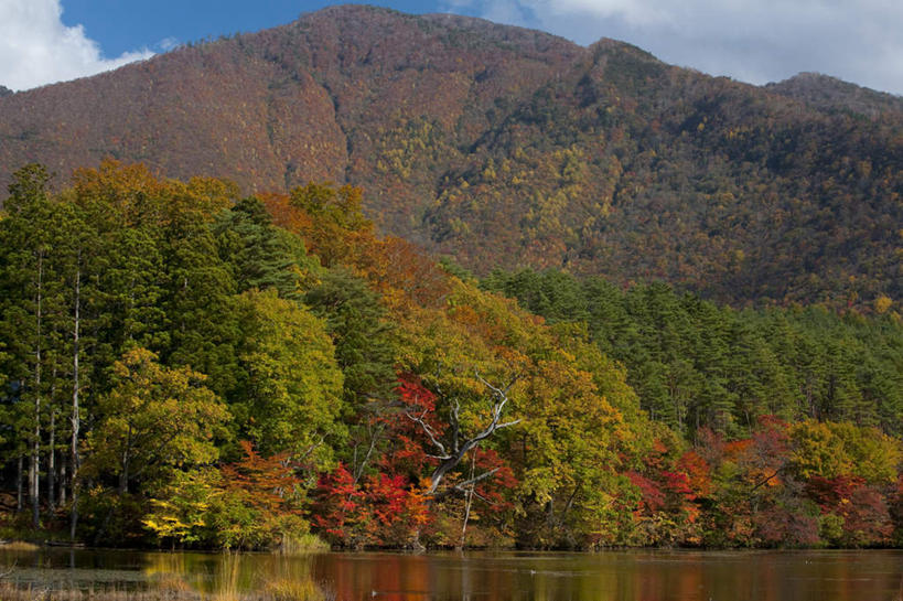 无人,横图,室外,白天,正面,旅游,度假,草地,草坪,湖,湖泊,石头,美景,山,山脉,水,植物,日本,亚洲,阴影,波纹,光线,石子,影子,湖面,景观,山峰,水流,水面,云,云朵,山峦,云彩,娱乐,草,树,树木,蓝色,绿色,白云,蓝天,水纹,天空,阳光,自然,波浪,湖水,群山,天,享受,休闲,景色,放松,生长,成长,自然风光,东亚,本州,本州岛,日本国,东北地方,福岛,福岛县,石块,彩图