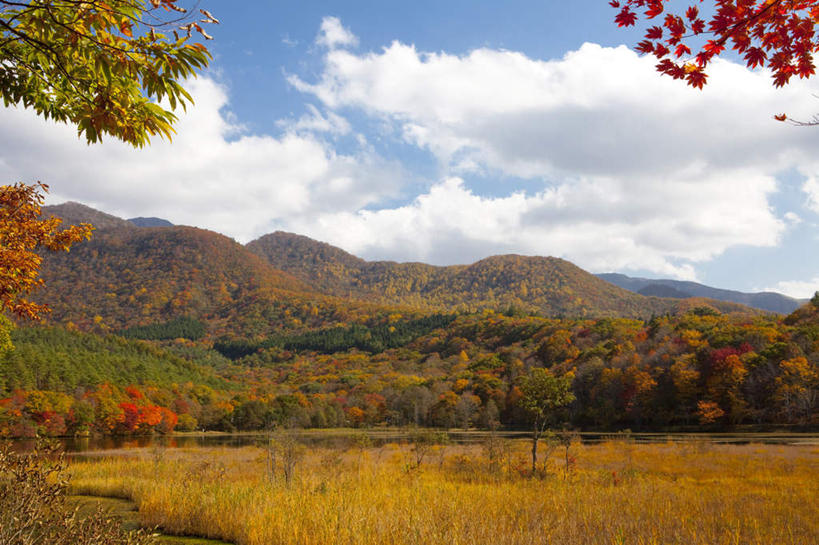 无人,农田,横图,室外,白天,正面,旅游,度假,庄稼,农作物,小麦,草地,草坪,河流,美景,水,植物,日本,亚洲,阴影,光线,影子,河水,景观,水流,云,云朵,谷物,云彩,娱乐,草,树,树木,蓝色,绿色,白云,蓝天,天空,阳光,自然,天,享受,休闲,稻谷,稻子,景色,放松,麦子,生长,成长,自然风光,东亚,本州,本州岛,日本国,东北地方,福岛,福岛县,彩图,耕地,庄稼田