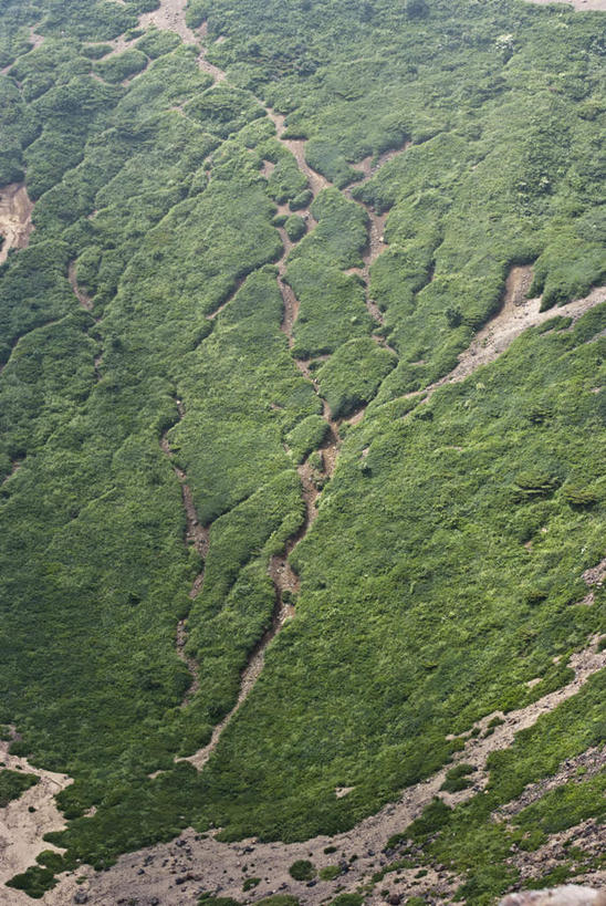 无人,竖图,俯视,航拍,室外,白天,旅游,度假,草地,草坪,美景,山,山脉,植物,道路,路,日本,亚洲,阴影,光线,影子,景观,山峰,小路,交通,山峦,娱乐,草,树,树木,绿色,阳光,自然,群山,享受,休闲,景色,放松,乡间小路,生长,成长,鸟瞰,自然风光,东亚,本州,本州岛,日本国,东北地方,福岛,福岛县,彩图,高角度拍摄