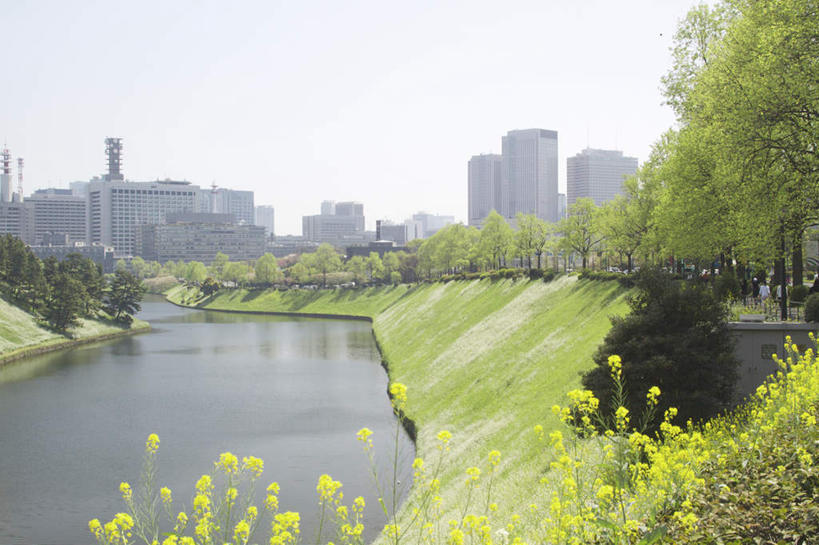 无人,高楼大厦,横图,室外,白天,正面,度假,湖,湖泊,美景,水,植物,城市风光,城市,大厦,建筑,摩天大楼,东京,日本,亚洲,阴影,盛开,光线,影子,湖面,景观,水流,水面,云,云朵,花蕾,云彩,娱乐,花,花瓣,花朵,鲜花,树,树木,黄色,蓝色,绿色,白云,蓝天,天空,阳光,自然,湖水,天,花苞,花蕊,油菜花,享受,休闲,景色,放松,生长,成长,东亚,本州,关东地方,本州岛,日本国,东京都,彩图,大楼,高层建筑,高楼,摩天楼