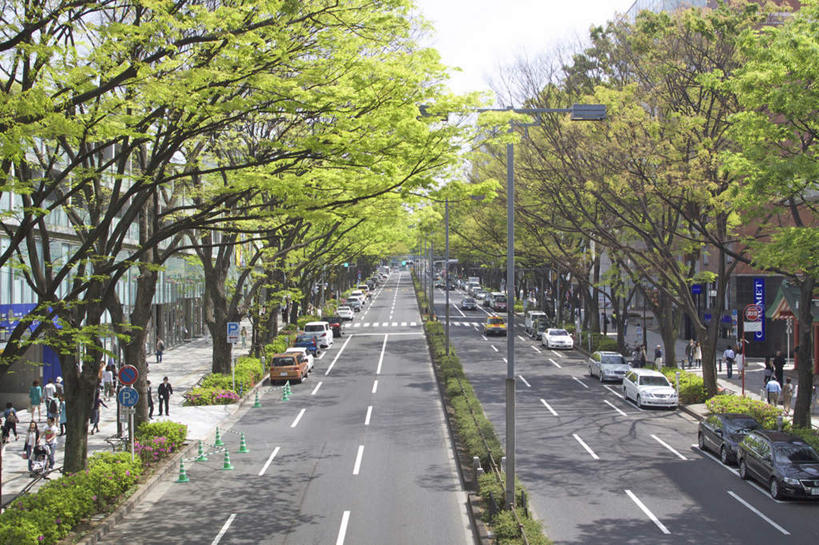 无人,横图,俯视,室外,白天,旅游,度假,草地,草坪,美景,植物,道路,路,公路,汽车,东京,日本,亚洲,一排,许多,阴影,整齐,光线,影子,景观,云,云朵,分界线,停车线,交通,云彩,娱乐,车,草,树,树木,排列,蓝色,绿色,白云,蓝天,天空,阳光,自然,交通工具,轿车,天,享受,休闲,景色,放松,生长,成长,车行道,车行道分界线,队列,自然风光,载具,标线,东亚,车行线,本州,关东地方,本州岛,日本国,东京都,马路,彩图,高角度拍摄