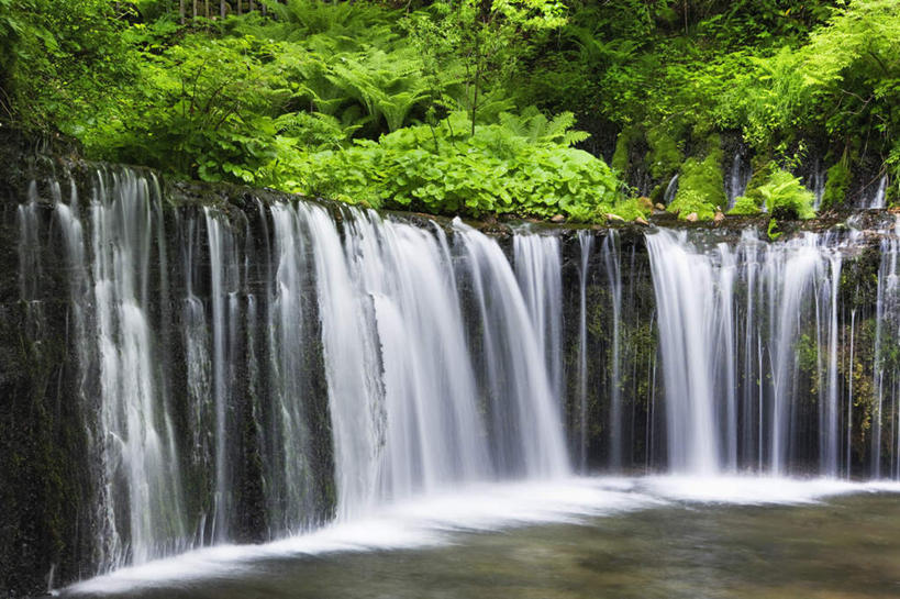 无人,横图,俯视,室外,白天,旅游,度假,草地,草坪,礁石,石头,美景,瀑布,水,植物,长野县,日本,亚洲,阴影,波纹,飞溅,溅,光线,石子,液体,影子,景观,水滴,娱乐,水珠,草,树,树木,绿色,水纹,阳光,自然,波浪,享受,休闲,景色,放松,生长,成长,喷洒,自然风光,东亚,本州,本州岛,日本国,中部地方,长野,跌水,礁,石块,岩石,彩图,高角度拍摄