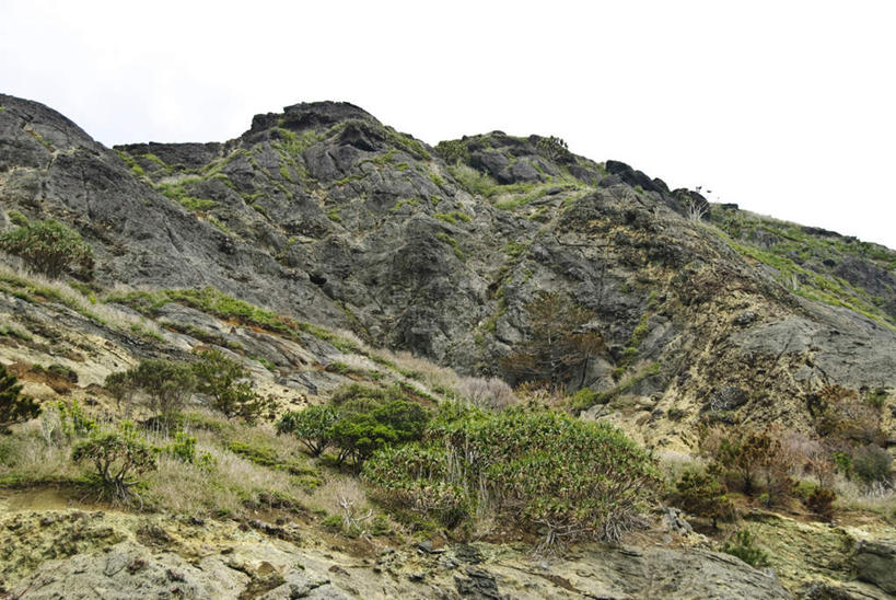 无人,横图,室外,白天,正面,旅游,度假,草地,草坪,石头,美景,山,山脉,植物,东京,日本,亚洲,阴影,光线,石子,影子,景观,山峰,云,云朵,山峦,云彩,娱乐,草,树,树木,蓝色,绿色,白云,蓝天,天空,阳光,自然,群山,天,享受,休闲,景色,放松,生长,成长,自然风光,东亚,本州,关东地方,本州岛,日本国,东京都,石块,岩石,彩图