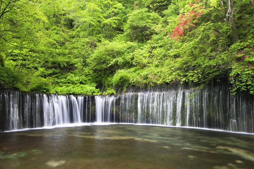 无人,横图,室外,白天,正面,旅游,度假,草地,草坪,美景,瀑布,森林,山,山脉,树林,水,植物,长野县,日本,亚洲,阴影,波纹,飞溅,溅,光线,液体,影子,景观,山峰,水滴,山峦,娱乐,水珠,草,树,树木,绿色,水纹,阳光,自然,波浪,群山,享受,休闲,景色,放松,生长,成长,喷洒,自然风光,东亚,本州,本州岛,日本国,中部地方,长野,跌水,彩图