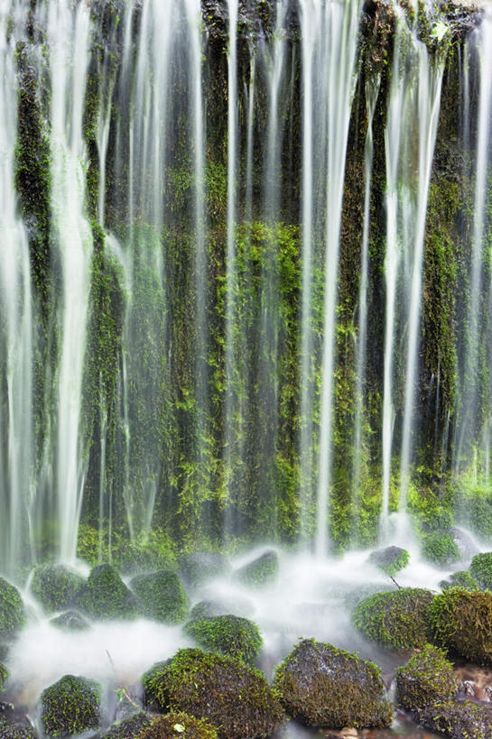 无人,竖图,室外,白天,正面,旅游,度假,草地,草坪,礁石,石头,美景,瀑布,山,山脉,水,植物,长野县,日本,亚洲,阴影,波纹,飞溅,溅,光线,石子,液体,影子,景观,山峰,水滴,山峦,娱乐,水珠,草,树,树木,绿色,水纹,阳光,自然,波浪,群山,享受,休闲,景色,放松,生长,成长,喷洒,自然风光,东亚,本州,本州岛,日本国,中部地方,长野,跌水,礁,石块,岩石,彩图