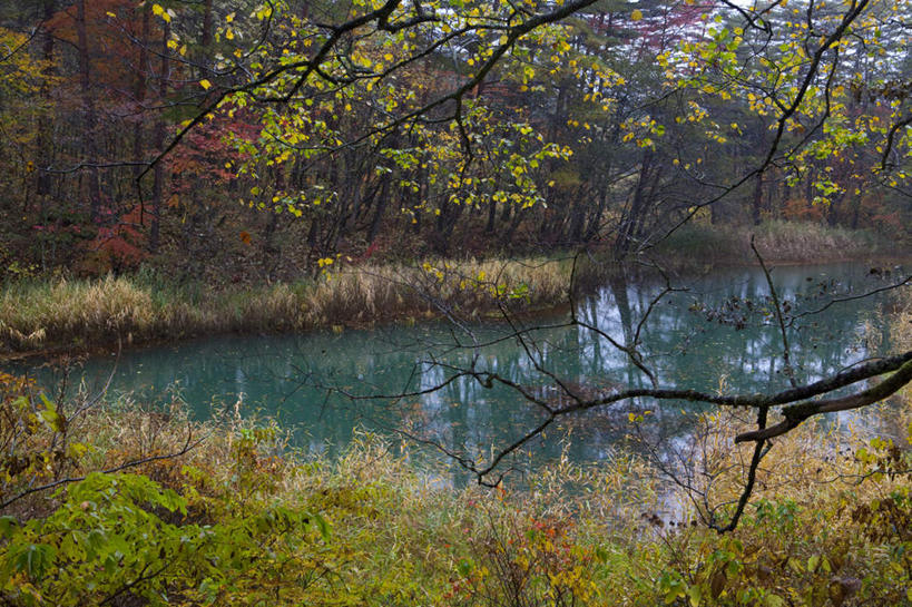 无人,横图,室外,白天,正面,旅游,度假,草地,草坪,湖,湖泊,美景,森林,树林,水,植物,日本,亚洲,阴影,光线,影子,湖面,景观,水流,水面,娱乐,草,树,树木,绿色,阳光,自然,湖水,享受,休闲,景色,放松,生长,成长,自然风光,东亚,本州,本州岛,日本国,东北地方,福岛,福岛县,彩图
