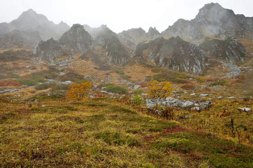 无人,横图,俯视,室外,白天,旅游,度假,草地,草坪,礁石,石头,美景,森林,山,山脉,树林,植物,雾,长野县,日本,亚洲,朦胧,模糊,石子,景观,山峰,山峦,娱乐,草,树,树木,蓝色,绿色,蓝天,天空,自然,群山,天,享受,休闲,景色,放松,生长,成长,迷雾,自然风光,东亚,本州,本州岛,日本国,中部地方,长野,礁,石块,岩石,大雾,彩图,高角度拍摄