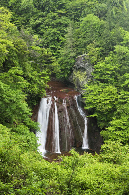 无人,竖图,俯视,室外,白天,旅游,度假,草地,草坪,美景,瀑布,山,山脉,水,植物,长野县,日本,亚洲,阴影,飞溅,溅,光线,液体,影子,景观,山峰,水滴,山峦,娱乐,水珠,草,树,树木,绿色,阳光,自然,群山,享受,休闲,景色,放松,生长,成长,喷洒,自然风光,东亚,本州,本州岛,日本国,中部地方,长野,跌水,彩图,高角度拍摄