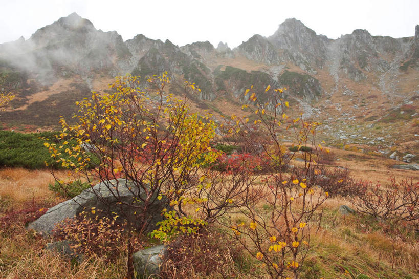 无人,横图,俯视,室外,白天,旅游,度假,草地,草坪,河流,美景,水,植物,雾,长野县,日本,亚洲,阴影,朦胧,模糊,光线,影子,河水,景观,水流,云,云朵,云彩,娱乐,草,树,树木,蓝色,绿色,白云,蓝天,天空,阳光,自然,天,享受,休闲,景色,放松,生长,成长,迷雾,自然风光,东亚,本州,本州岛,日本国,中部地方,长野,大雾,彩图,高角度拍摄