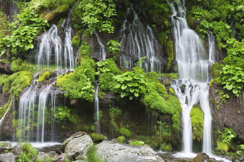 无人,横图,室外,白天,正面,旅游,度假,草地,草坪,美景,瀑布,山,山脉,水,植物,日本,亚洲,阴影,波纹,飞溅,溅,光线,液体,影子,景观,山峰,水滴,山峦,娱乐,水珠,草,树,树木,绿色,水纹,阳光,自然,波浪,群山,享受,休闲,景色,放松,生长,成长,喷洒,自然风光,东亚,本州,本州岛,日本国,中部地方,山梨,山梨县,跌水,彩图