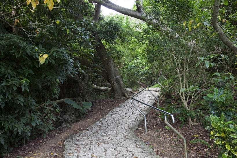 无人,横图,俯视,室外,白天,旅游,度假,草地,草坪,石头,美景,植物,道路,路,日本,亚洲,阴影,光线,石子,影子,景观,小路,交通,娱乐,冲绳,草,树,树木,蓝色,绿色,蓝天,天空,阳光,自然,天,享受,休闲,景色,放松,乡间小路,生长,成长,冲绳县,自然风光,东亚,琉球群岛,日本国,九州地方,石块,彩图,高角度拍摄