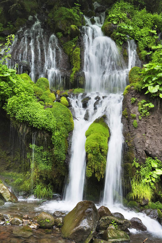 无人,竖图,室外,白天,正面,旅游,度假,草地,草坪,礁石,石头,美景,瀑布,山,山脉,水,植物,日本,亚洲,阴影,波纹,飞溅,溅,光线,石子,液体,影子,景观,山峰,水滴,山峦,娱乐,水珠,草,树,树木,绿色,水纹,阳光,自然,波浪,群山,享受,休闲,景色,放松,生长,成长,喷洒,自然风光,东亚,本州,本州岛,日本国,中部地方,山梨,山梨县,跌水,礁,石块,岩石,彩图