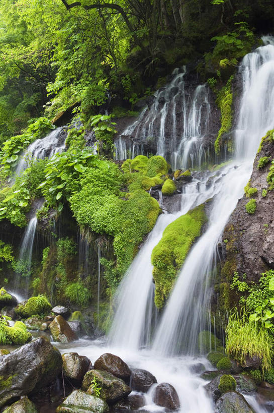 无人,竖图,室外,白天,正面,旅游,度假,草地,草坪,礁石,石头,美景,瀑布,山,山脉,水,植物,日本,亚洲,阴影,波纹,飞溅,溅,光线,石子,液体,影子,景观,山峰,水滴,山峦,娱乐,水珠,草,树,树木,绿色,水纹,阳光,自然,波浪,群山,享受,休闲,景色,放松,生长,成长,喷洒,自然风光,东亚,本州,本州岛,日本国,中部地方,山梨,山梨县,跌水,礁,石块,岩石,彩图