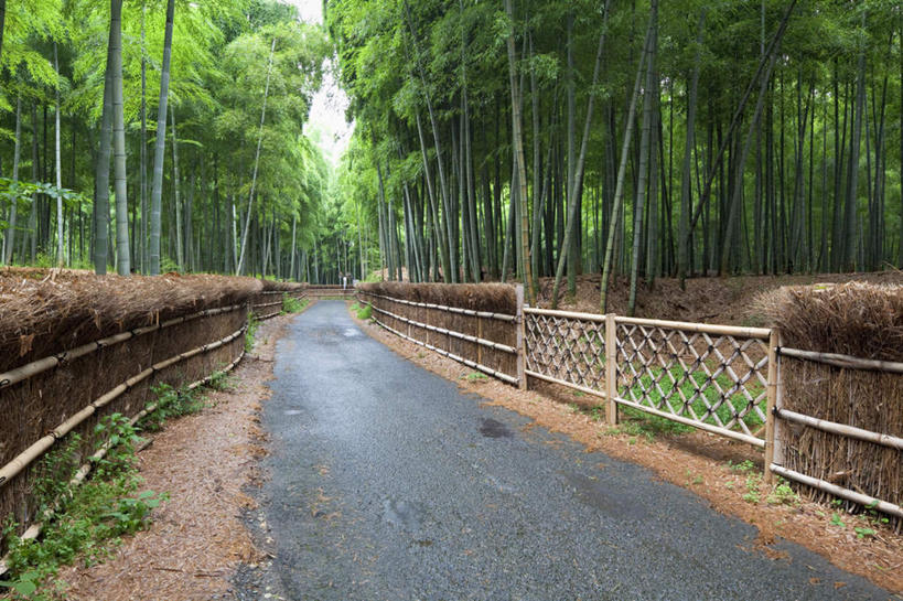 无人,栏杆,横图,室外,白天,正面,旅游,度假,草地,草坪,美景,植物,道路,路,京都,日本,亚洲,阴影,光线,影子,栅栏,景观,篱笆,云,云朵,围栏,小路,交通,云彩,娱乐,护栏,草,树,树木,蓝色,绿色,白云,蓝天,天空,阳光,自然,天,享受,休闲,景色,放松,乡间小路,京都府,生长,成长,自然风光,东亚,本州,本州岛,日本国,近畿地方,近畿,彩图