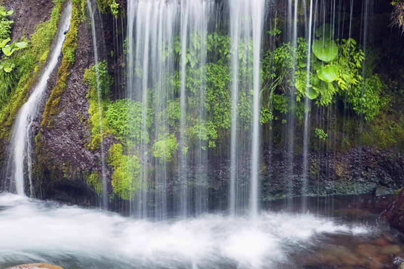 无人,横图,室外,白天,正面,旅游,度假,草地,草坪,美景,瀑布,森林,山,山脉,树林,水,植物,日本,亚洲,阴影,波纹,飞溅,溅,光线,液体,影子,景观,山峰,水滴,山峦,娱乐,水珠,草,树,树木,绿色,水纹,阳光,自然,波浪,群山,享受,休闲,景色,放松,生长,成长,喷洒,自然风光,东亚,本州,本州岛,日本国,中部地方,山梨,山梨县,跌水,彩图
