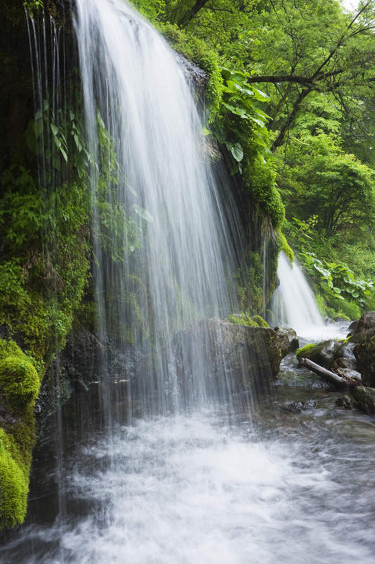 无人,竖图,室外,白天,正面,旅游,度假,草地,草坪,美景,瀑布,森林,山,山脉,树林,水,植物,日本,亚洲,阴影,波纹,飞溅,溅,光线,液体,影子,景观,山峰,水滴,山峦,娱乐,水珠,草,树,树木,绿色,水纹,阳光,自然,波浪,群山,享受,休闲,景色,放松,生长,成长,喷洒,自然风光,东亚,本州,本州岛,日本国,中部地方,山梨,山梨县,跌水,彩图