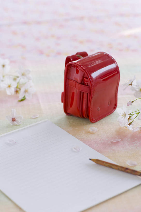 无人,竖图,俯视,室内,特写,白天,桌子,樱花,一张,阴影,盛开,光线,包,笔,书包,影子,纸,办公用品,花蕾,书桌,文具,花,花瓣,花朵,鲜花,一个,红色,白色,阳光,背包,课桌,学习用品,花苞,花蕊,单个,文具用品,一支,仙樱花,福岛樱,青肤樱,荆桃,彩图,高角度拍摄,双肩包