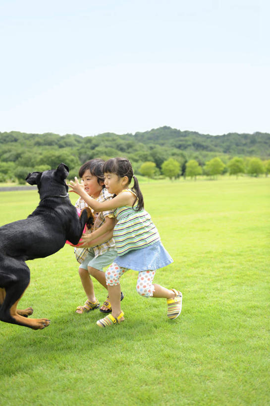 东方人,儿童,头发,两个人,伙伴,朋友,站,举,笑,摸,微笑,露齿笑,竖图,室外,白天,侧面,旅游,度假,游戏,友谊,草地,草坪,山,山脉,植物,宠物,狗,亚洲,抚摸,阴影,服装,光线,影子,山峰,云,云朵,山峦,玩,云彩,抬腿,注视,休闲装,黄种人,娱乐,草,树,树木,一只,小孩,衣服,蓝色,绿色,黑色,白云,蓝天,天空,阳光,自然,动物,群山,天,观察,看,托,站着,享受,休闲,休闲服,放松,可爱,服饰,生长,成长,观看,活动,踮脚,察看,发泄,关注,消遣,智力,忠诚,宣泄,友情,男孩,男人,男性,女孩,女人,女性,亚洲人,长发,犬,触摸,接触,举起,举手,举着,玩耍,嬉戏,向上举,向上伸,向上托,站立,彩图,全身,男生,女生