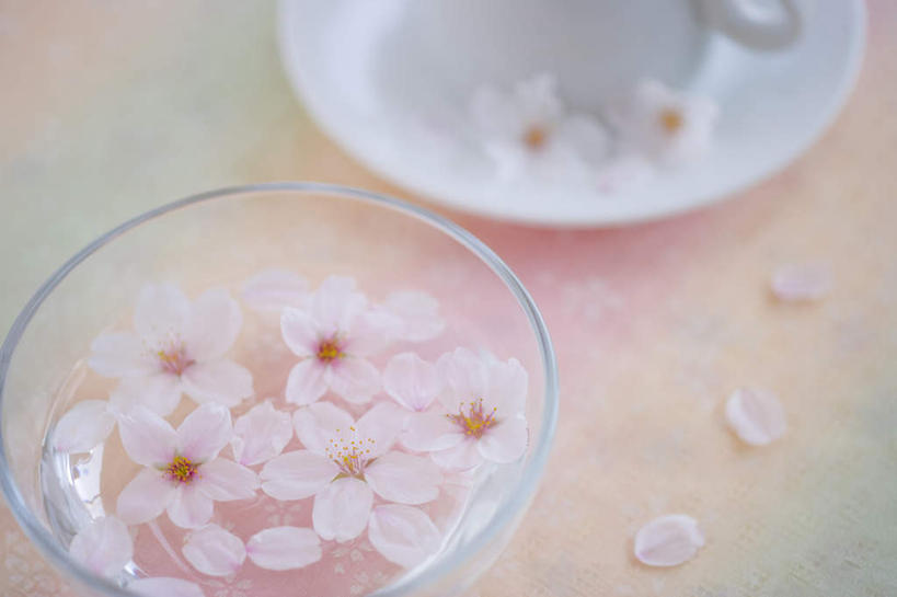 无人,横图,俯视,室内,特写,白天,水,桌面,樱花,餐具,许多,阴影,朦胧,模糊,盛开,光线,碟子,盘,液体,影子,水滴,花蕾,花,花瓣,花朵,鲜花,两个,粉色,阳光,盘子,碟,花苞,花蕊,摄影,影棚,仙樱花,福岛樱,青肤樱,荆桃,彩图,高角度拍摄,影棚拍摄,拍摄