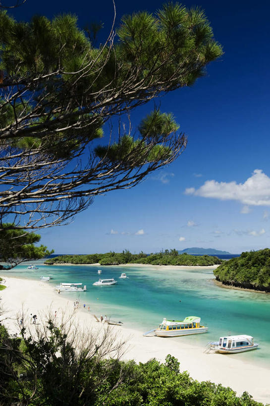 皮划艇,无人,竖图,室外,白天,正面,旅游,度假,草地,草坪,海浪,海洋,美景,沙滩,植物,船,日本,亚洲,停靠,阴影,光线,沙子,影子,海岸,景观,浪花,云,云朵,沙地,两艘,云彩,娱乐,冲绳,草,树,树木,蓝色,绿色,白云,蓝天,天空,阳光,自然,海水,交通工具,天,享受,休闲,景色,放松,生长,成长,冲绳县,自然风光,载具,海景,东亚,琉球群岛,日本国,九州地方,大海,风浪,海,海水的波动,海滩,近岸浪,涌浪,彩图