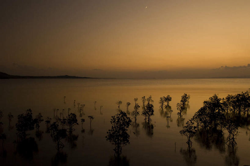 无人,横图,室外,白天,正面,旅游,度假,海浪,海洋,美景,日落,植物,日本,亚洲,波纹,景观,浪花,水平线,晚霞,霞光,云,云朵,辽阔,海平线,云彩,娱乐,冲绳,树,树木,绿色,白云,水纹,天空,自然,海水,黄昏,波浪,天,享受,休闲,广阔,金色,景色,彩霞,放松,生长,成长,一望无际,冲绳县,自然风光,海景,东亚,琉球群岛,日本国,九州地方,无边无际,一马平川,大海,风浪,海,海水的波动,近岸浪,涌浪,夕阳,彩图,水天相接,水天一线