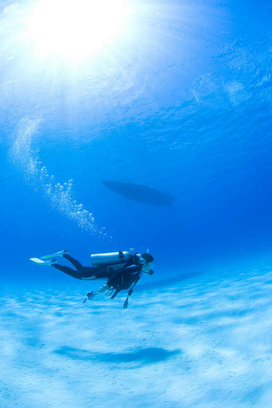 游泳,海鲜,东方人,一个人,竖图,室外,白天,侧面,锻炼,运动,海底,水下,亚洲,仅一个男性,仅一个人,许多,潜水员,阴影,波纹,光线,鱼,珊瑚,影子,水底,注视,黄种人,珊瑚礁,水产,鱼类,海洋生物,仅一个年轻男性,水纹,阳光,波浪,观察,看,趴着,海底世界,潜水,观看,察看,关注,水生动物,海产品,水生物,海底动物,海底礁,潜水运动,体育,男人,男性,年轻男性,亚洲人,海床,礁,岩石,趴,彩图,全身,健身