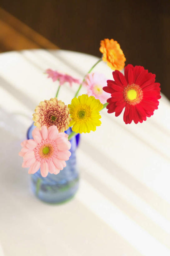 无人,竖图,俯视,室内,特写,白天,快乐,幸福,智慧,桌面,花瓶,阴影,朦胧,模糊,艺术,光线,影子,玛格丽特,文化,玻璃制品,雏菊,一个,粉色,黄色,红色,阳光,插花,玻璃瓶,瓶子,菊花,活力,单个,希望,插花艺术,创造,坚强,创作,和平,想象,离别,延命菊,幸福花,春菊,马兰头花,暗恋,纯情,单恋,天真,彩图,高角度拍摄,愉快