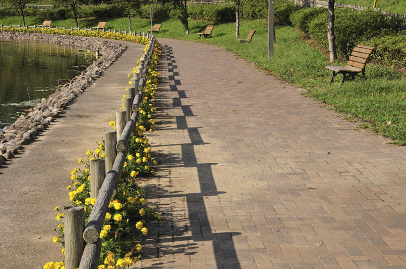 无人,横图,俯视,室外,白天,旅游,度假,草地,草坪,河流,美景,树林,水,植物,道路,路,叶子,椅子,日本,亚洲,许多,阴影,盛开,光线,影子,木椅,躺椅,河水,景观,水流,小路,绿叶,交通,千叶县,娱乐,草,花,花瓣,花朵,花卉,鲜花,树,树木,黄色,绿色,阳光,自然,花蕊,享受,休闲,嫩叶,景色,放松,生长,成长,自然风光,东亚,本州,关东地方,本州岛,日本国,千叶,叶,叶片,彩图,高角度拍摄