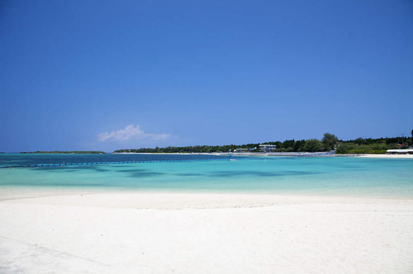 无人,横图,室外,白天,正面,旅游,度假,海浪,海洋,美景,沙滩,树林,植物,日本,亚洲,许多,沙子,海岸,景观,浪花,沙地,千叶县,娱乐,树,树木,蓝色,绿色,蓝天,天空,自然,海水,天,享受,休闲,景色,放松,生长,晴朗,成长,自然风光,海景,东亚,本州,万里无云,关东地方,本州岛,日本国,千叶,大海,风浪,海,海水的波动,海滩,近岸浪,涌浪,晴空,晴空万里,彩图