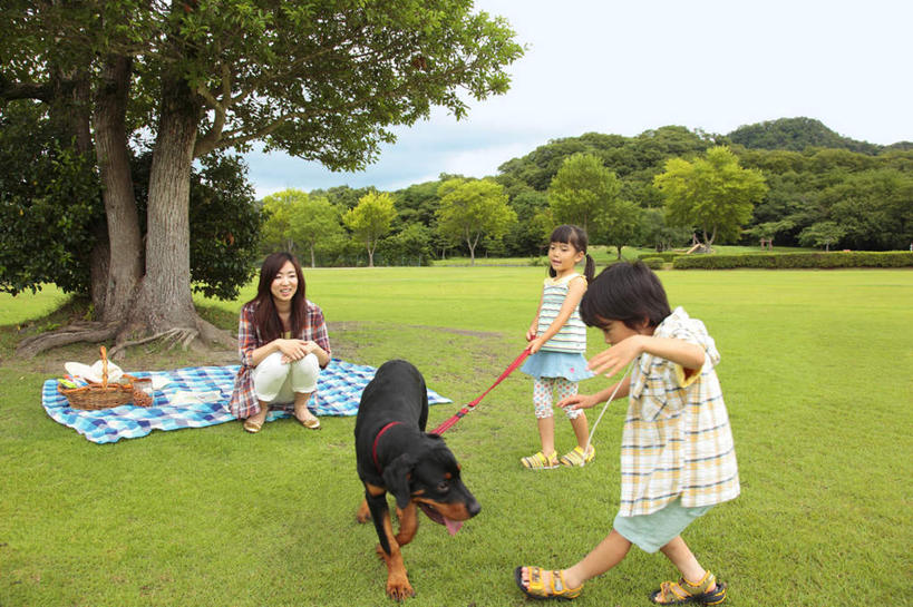 东方人,儿童,家庭,母亲,女儿,儿子,站,坐,走,举,笑,微笑,露齿笑,横图,室外,白天,正面,旅游,度假,纯洁,草地,草坪,美景,山,树林,植物,宠物,狗,亚洲,许多,牵,布料,篮子,景观,山峰,云,云朵,山峦,云彩,布纹,黄种人,娱乐,桌布,草,树,树木,一只,小孩,蓝色,绿色,黑色,白云,蓝天,天空,自然,动物,餐巾,垫子,台布,天,托,站着,享受,休闲,温暖,温馨,母女,母子,一家人,景色,放松,可爱,母爱,童年,童趣,生长,晴朗,成长,牵着,和睦,自然风光,童真,烂漫,无邪,忠诚,天真,男孩,男人,男性,年轻女性,女孩,女人,女性,亚洲人,孩子,年轻人,晴空,犬,步行,举起,举手,举着,散步,向上举,向上伸,向上托,站立,走路,坐着,彩图,全身,融洽,男生,女生